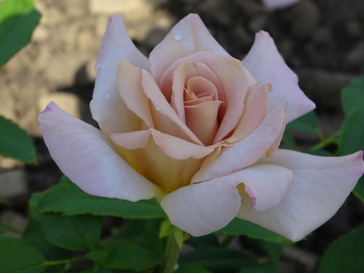 dsc06432-min.jpg